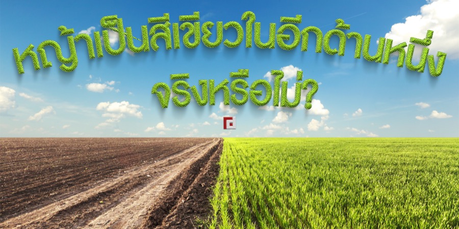 Is the grass greener on the other side?