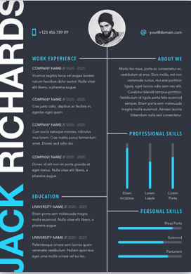 CV / Resume Example 4